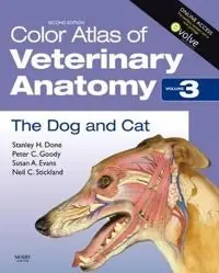 The dog and cat